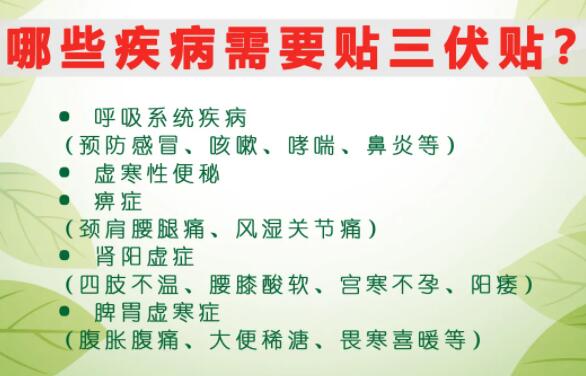 2、什么是三伏貼？三伏貼的作用？